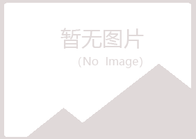 天津晓夏咨询有限公司